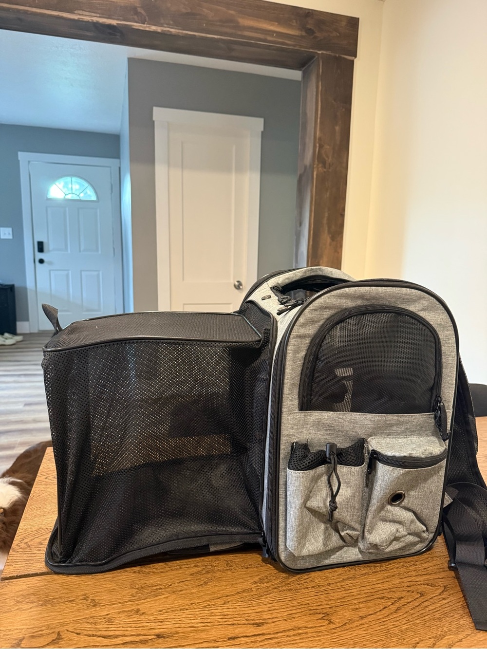 Cat Backpack